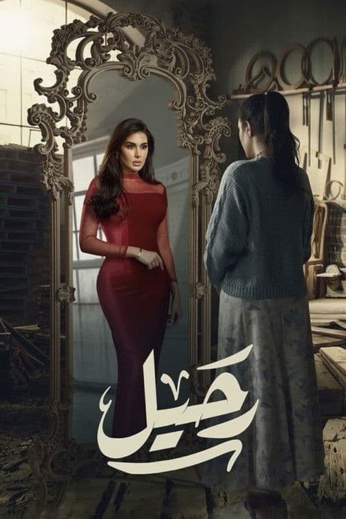 رحيل afişi