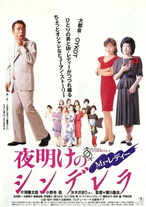 Mr.レディー 夜明けのシンデレラ afişi