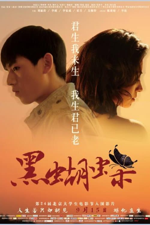 黑蝴蝶 afişi
