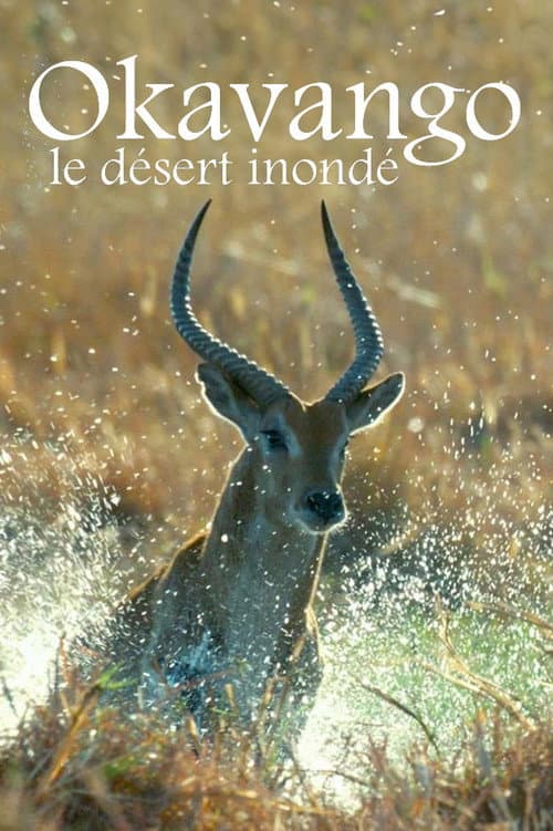 Kalahari: The Flooded Desert afişi