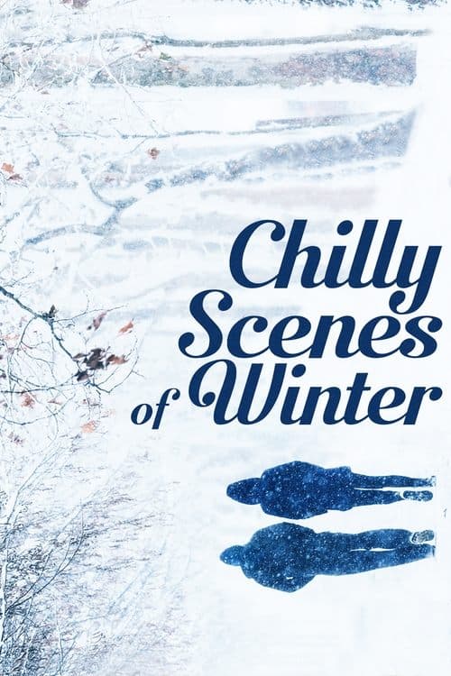 Chilly Scenes of Winter afişi