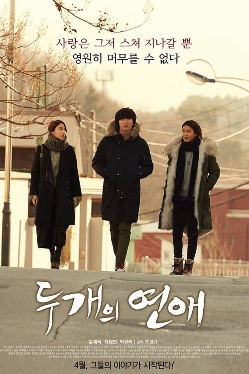 두 개의 연애 afişi