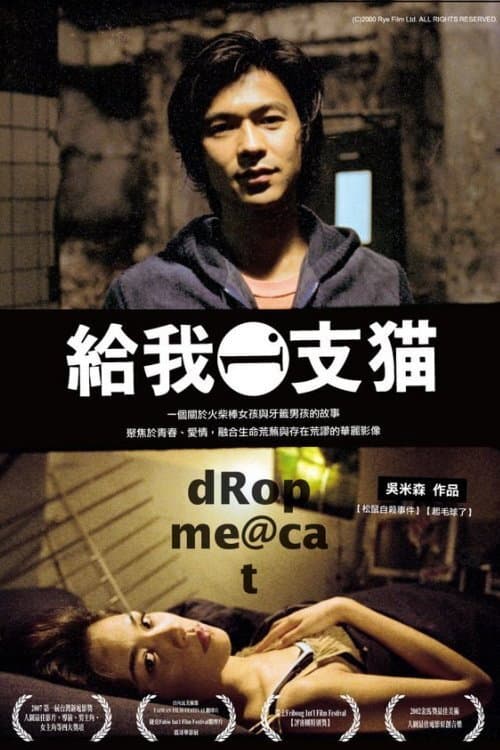 給我一支貓 afişi