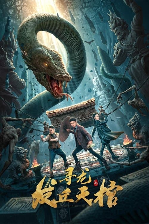 寻龙之发丘天棺 afişi