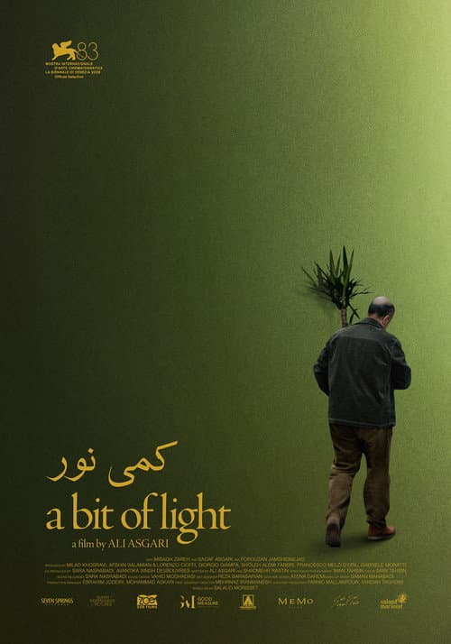 کمی نور afişi