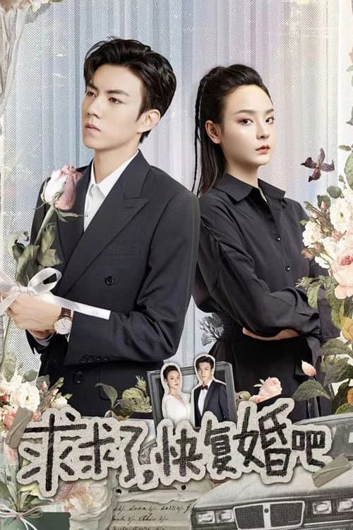 求求了，快复婚吧 afişi