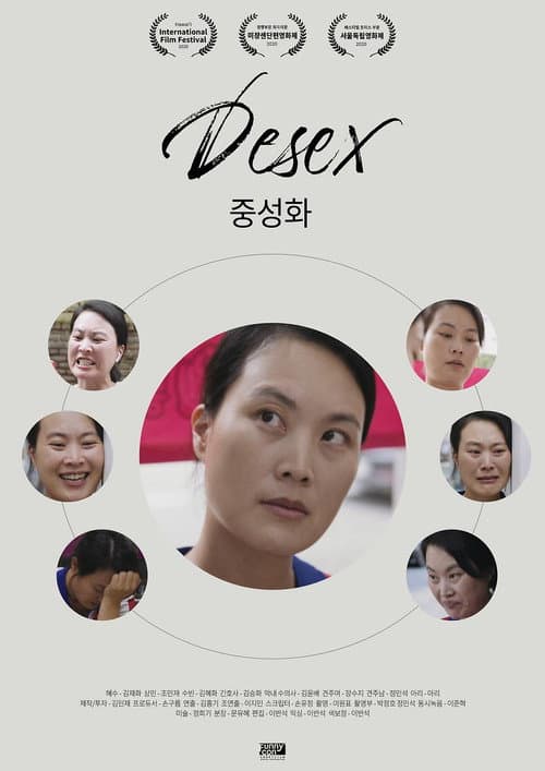 중성화 afişi