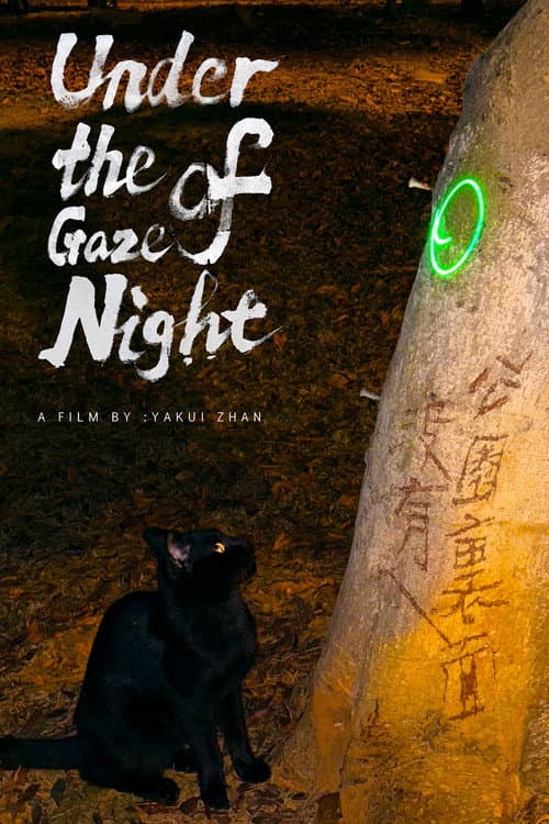 Under the Gaze of Night afişi