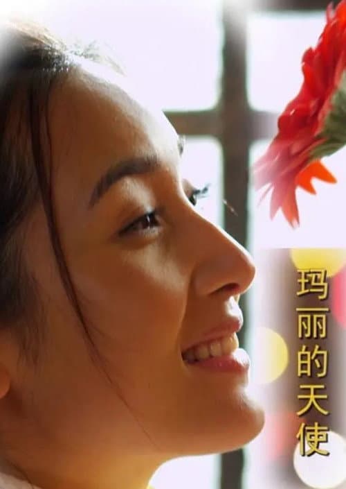 玛丽的天使 afişi