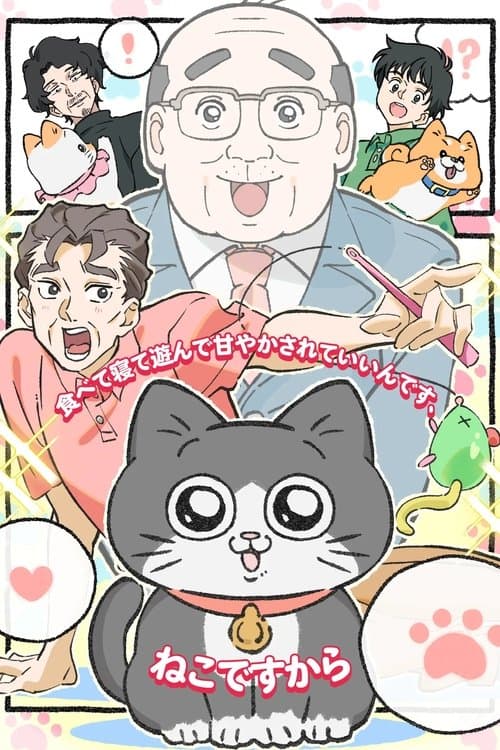 ねこに転生したおじさん afişi