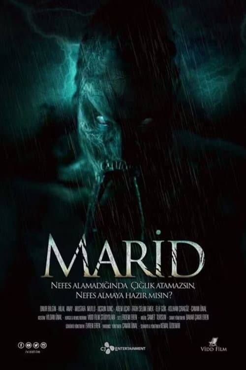 Marid afişi