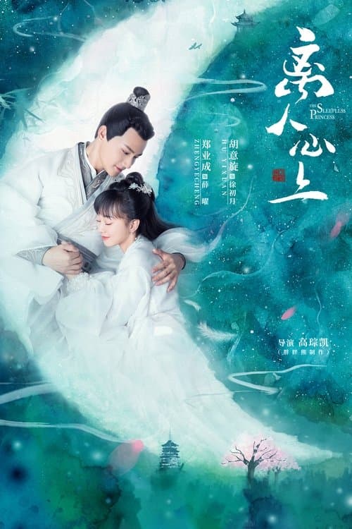 离人心上 afişi