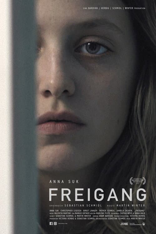Freigang afişi