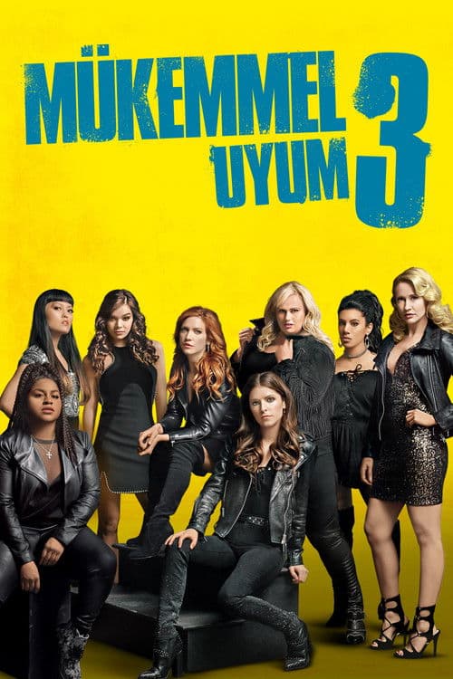 Mükemmel Uyum 3 afişi