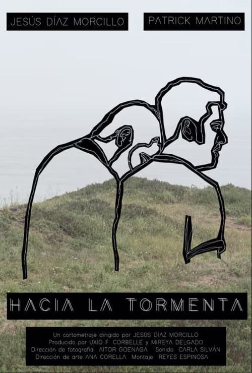 Hacia la tormenta afişi