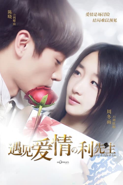 遇见爱情的利先生 afişi