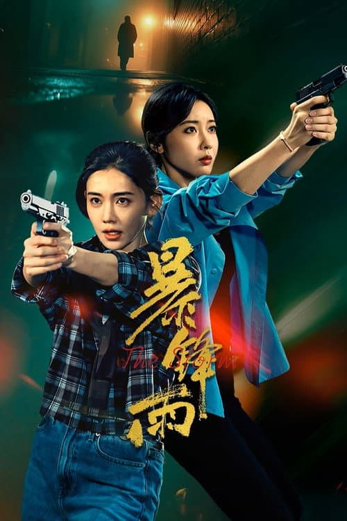 暴锋雨 afişi