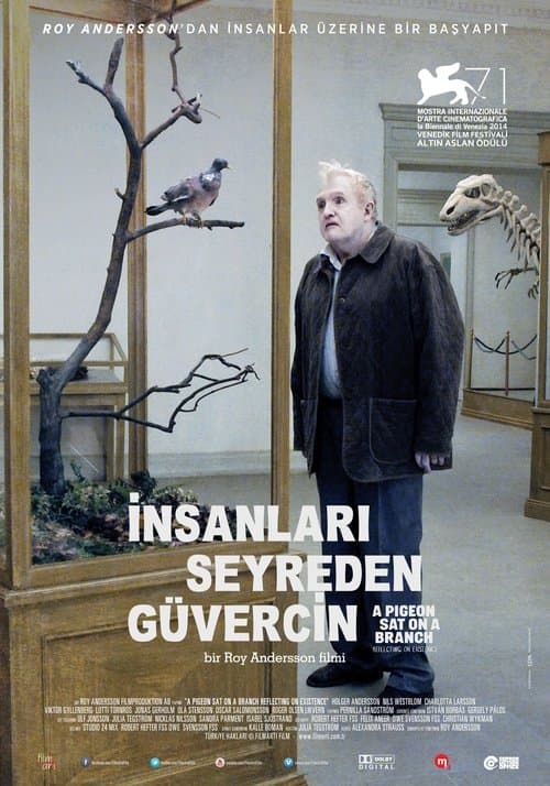 İnsanları Seyreden Güvercin afişi