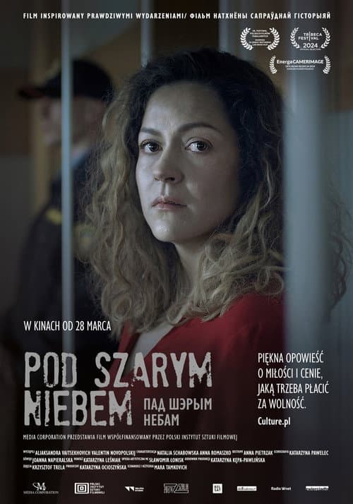 Pod szarym niebem afişi
