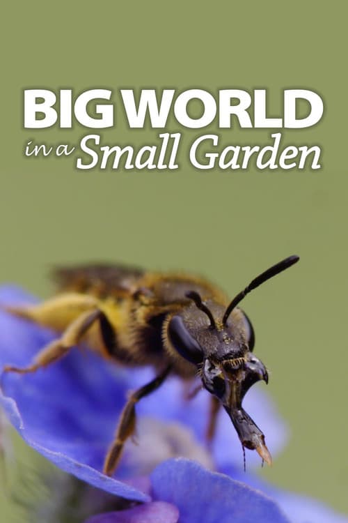 Big World In A Small Garden afişi