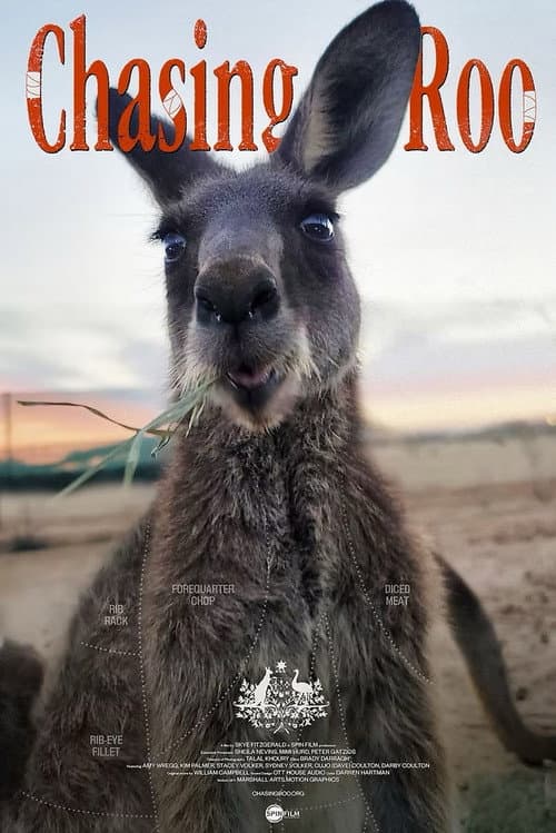 Chasing Roo afişi