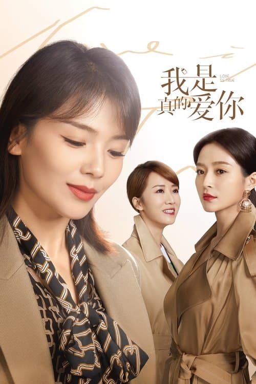 我是真的爱你 afişi