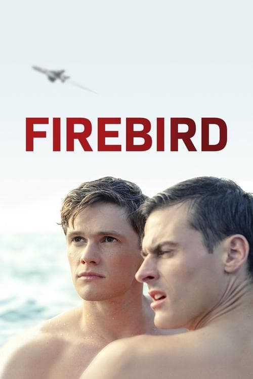 Firebird afişi