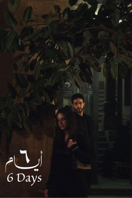 ٦ أيام afişi