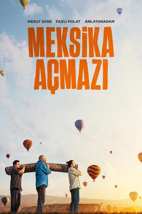 Meksika Açmazı afişi