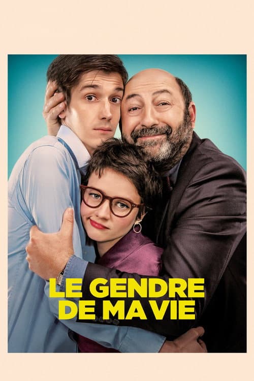 Le Gendre de ma vie afişi