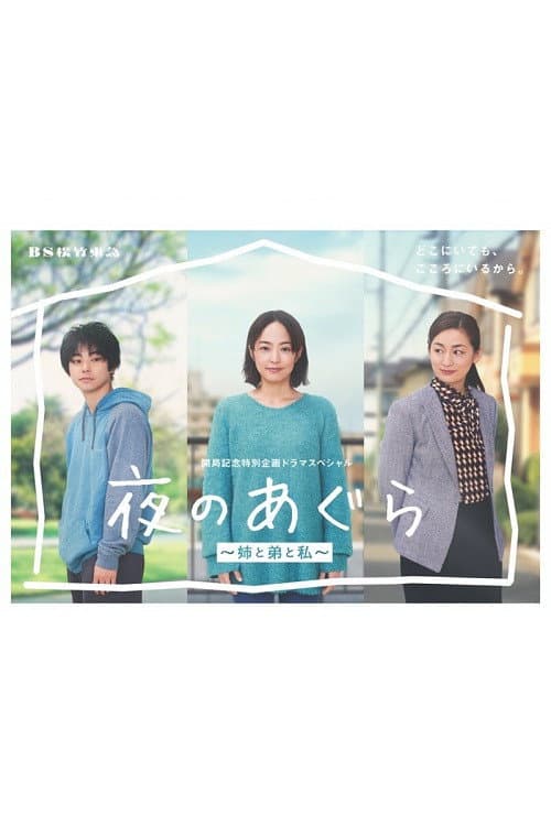 夜のあぐら～姉と弟と私～ afişi