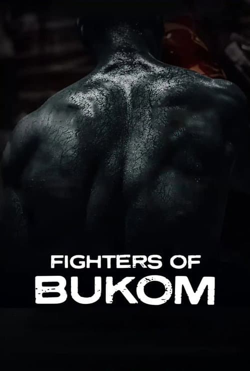 Fighters of Bukom afişi