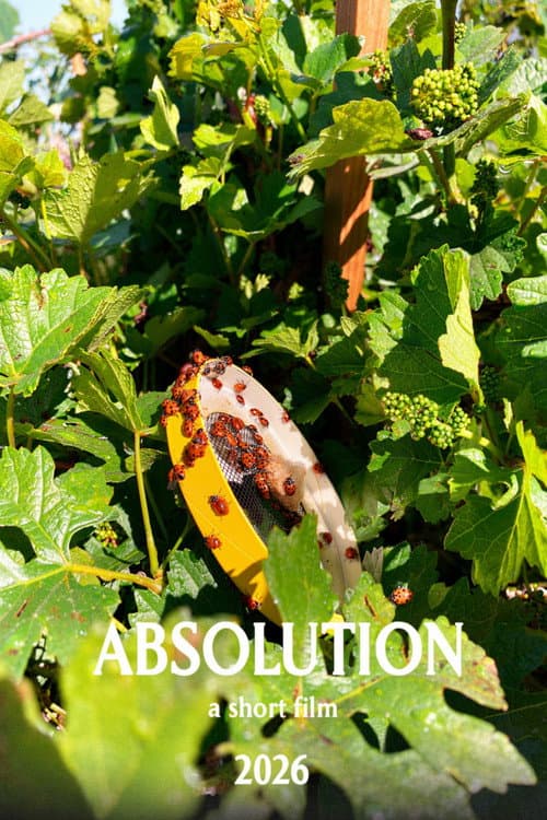 Absolution afişi