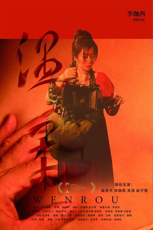 温柔 afişi