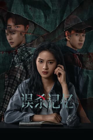 误杀记忆 afişi