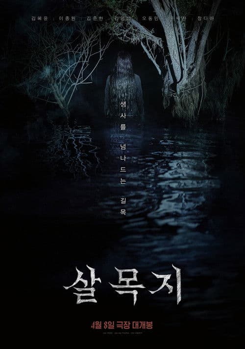살목지 afişi