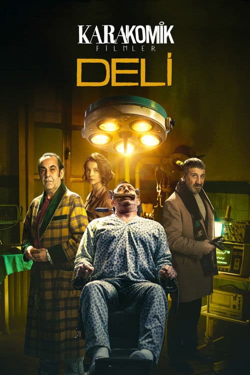 Karakomik Filmler 2: Deli afişi