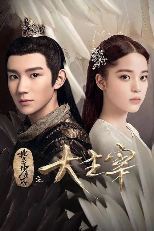 北灵少年志之大主宰 afişi