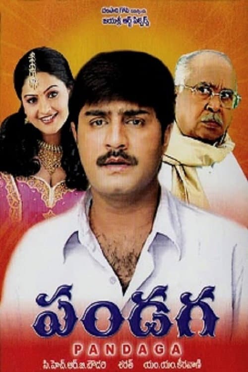 పండగ afişi