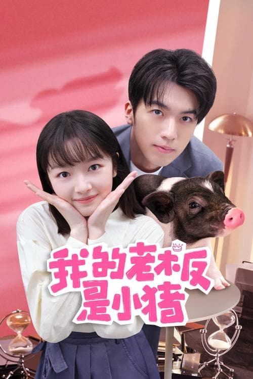 我的老板是小猪 afişi