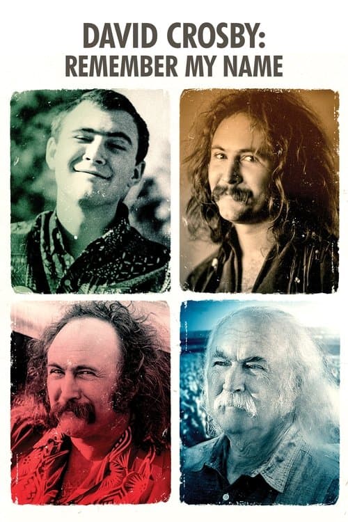 David Crosby: Remember My Name afişi