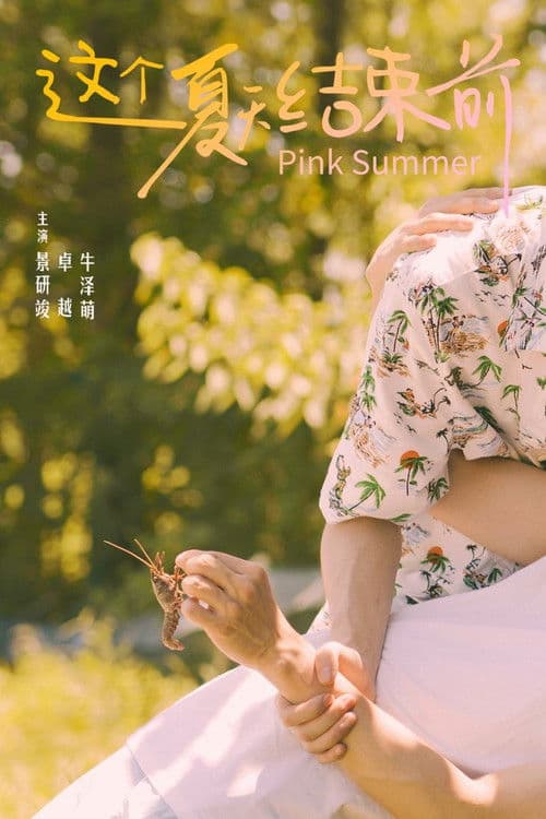 这个夏天结束前 afişi