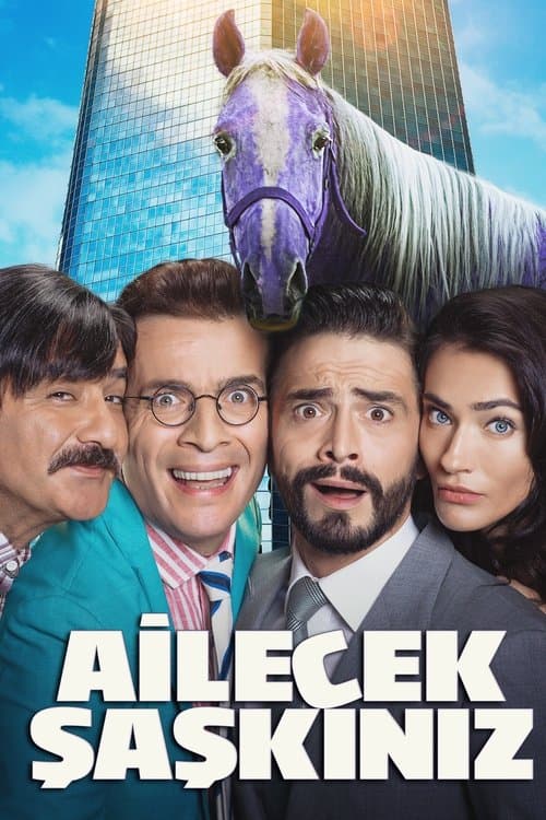 Ailecek Şaşkınız afişi