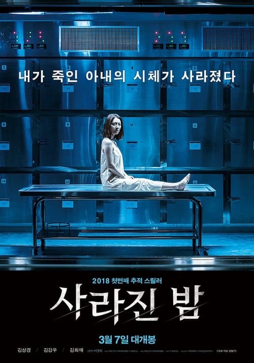 사라진 밤 afişi