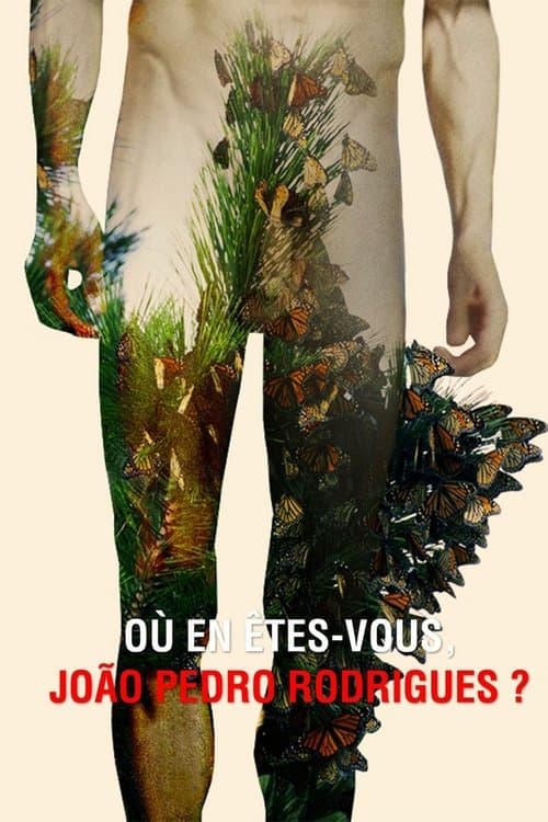 Où en êtes-vous, João Pedro Rodrigues ? afişi