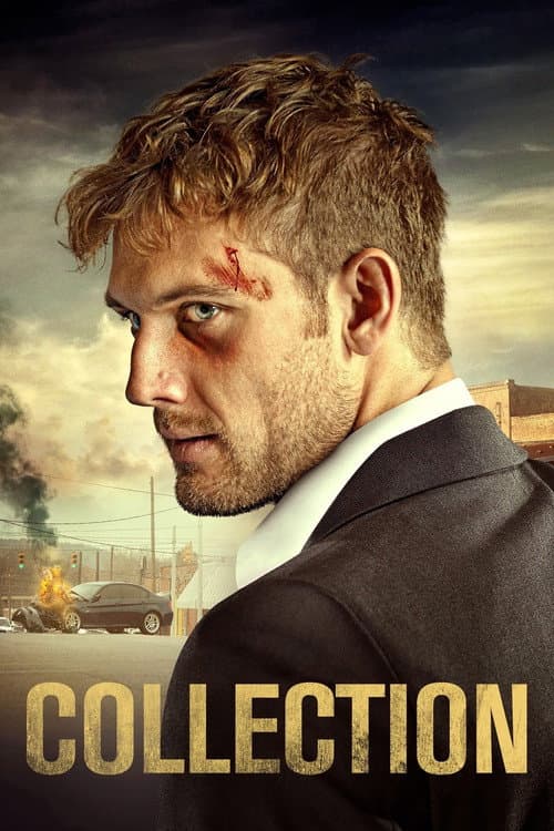 Payback - The Debt Collector afişi