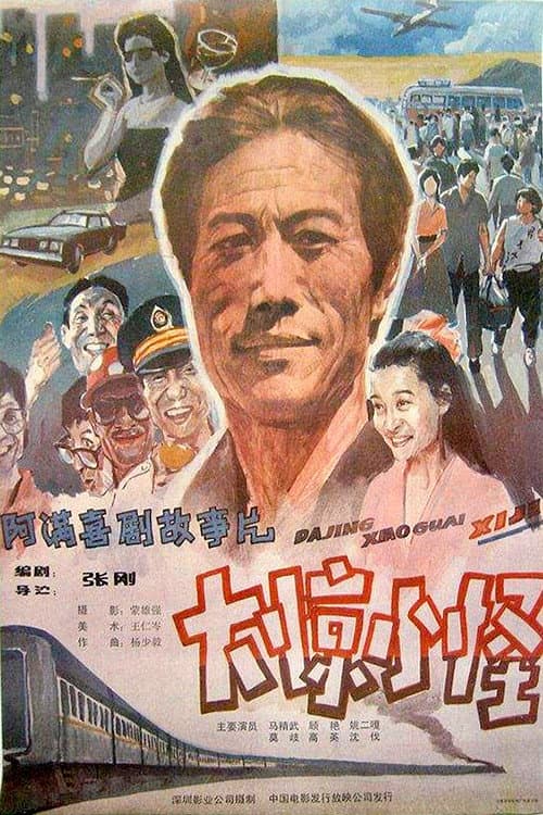 大惊小怪 afişi