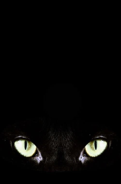 Halloween Claws afişi