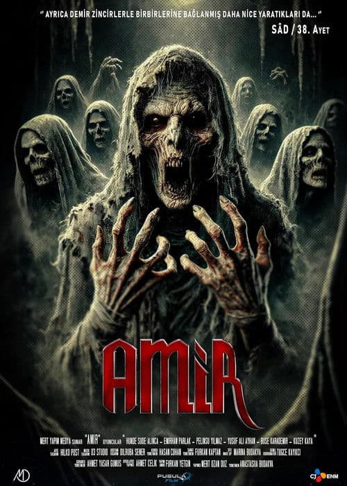 Amir afişi