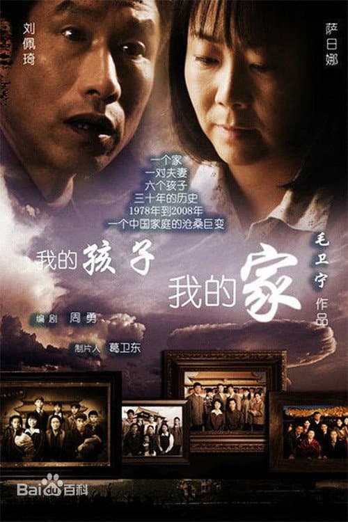 我的孩子我的家 afişi